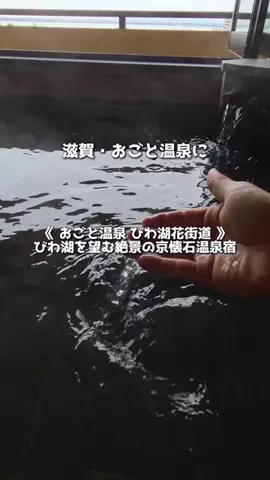 アーク🐐のTikTok投稿