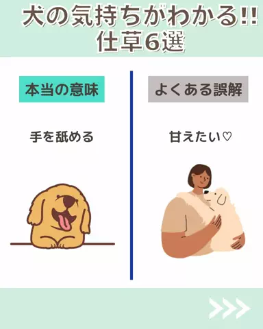 わんLOVE同好会のTikTok投稿
