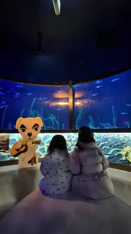かな【名古屋発】子連れおでかけのTikTok投稿
