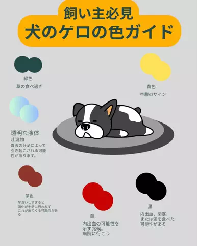 わんLOVE同好会のTikTok投稿