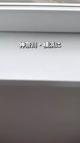 アーク🐐のTikTok投稿