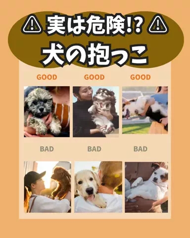 わんLOVE同好会のTikTok投稿