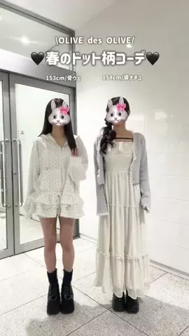 ひろのTikTok投稿