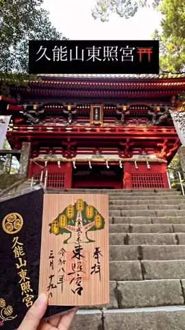 象使い熱波師KOFIやす🌍のTikTok投稿