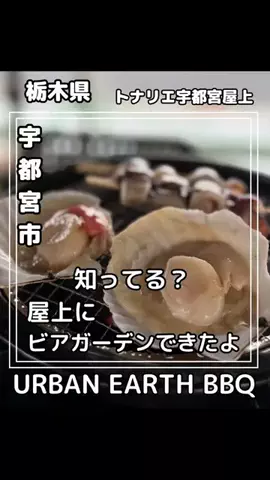 れんどす/栃木グルメのTikTok投稿
