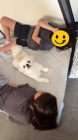 くう🐻‍❄️のTikTok投稿