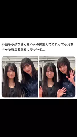 はちまる|美容情報局📝のTikTok投稿