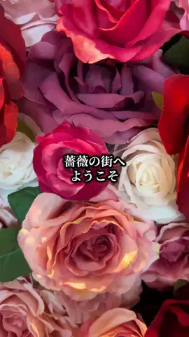 マッスル親子のTikTok投稿