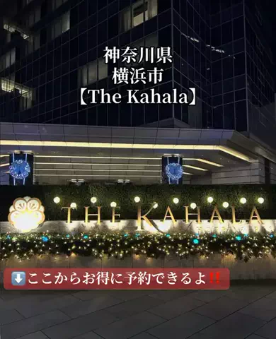 旅好きんに君のTikTok投稿