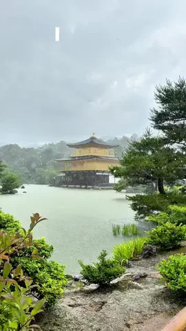 🍵Rikyu Japan food🍵のTikTok投稿