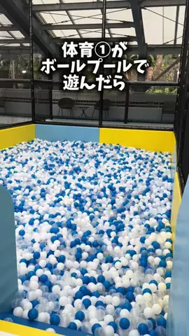 はらぺこももたすのTikTok投稿