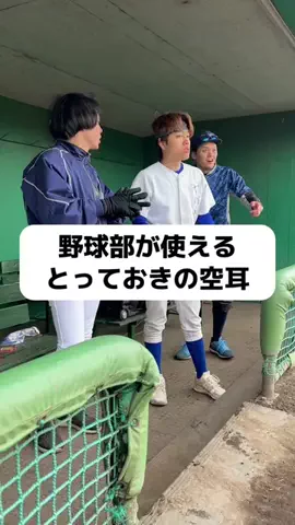 ⚾️🎞️ 白球フィルム 🎞️⚾️のTikTok投稿