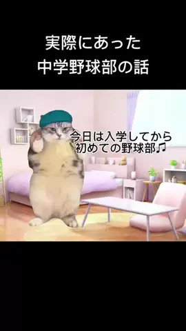 ⚾️🎞️ 白球フィルム 🎞️⚾️のTikTok投稿