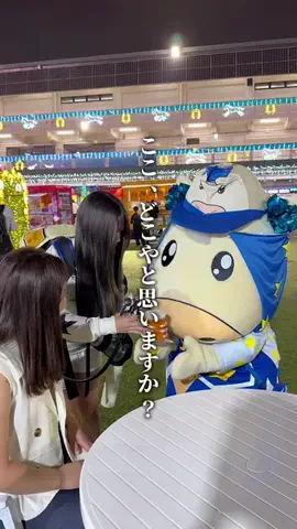 ここっと兵庫 |兵庫おでかけ・穴場グルメのTikTok投稿