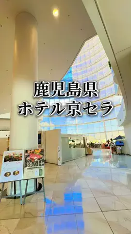 ホテル巡り大好き紅葉のTikTok投稿