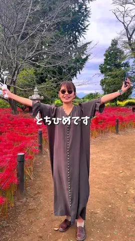 とちひめ🍓のTikTok投稿