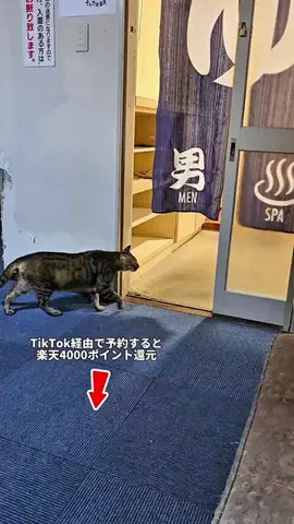 わら旅夫婦のTikTok投稿