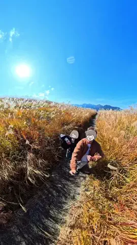わら旅夫婦のTikTok投稿