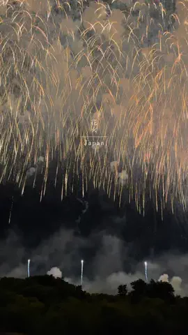 うさ/週末旅する冒険記のTikTok投稿