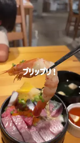 moya｜福岡グルメ・ランチ・おでかけ｜本音パパのTikTok投稿