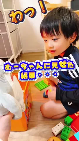 🐶saaaaa⚽️さーちゃんちのTikTok投稿