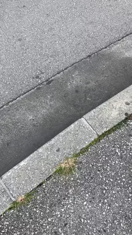 だてめがねのTikTok投稿