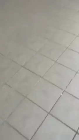 だてめがねのTikTok投稿