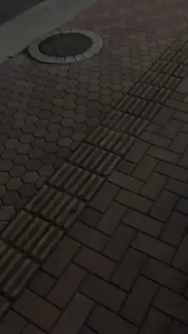だてめがねのTikTok投稿