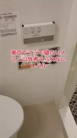 地域猫のTikTok投稿