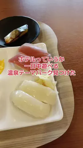 地域猫のTikTok投稿