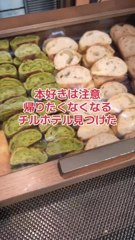 地域猫のTikTok投稿