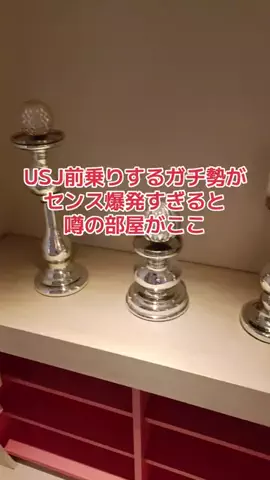地域猫のTikTok投稿