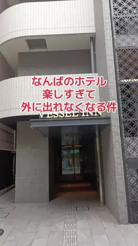 地域猫のTikTok投稿
