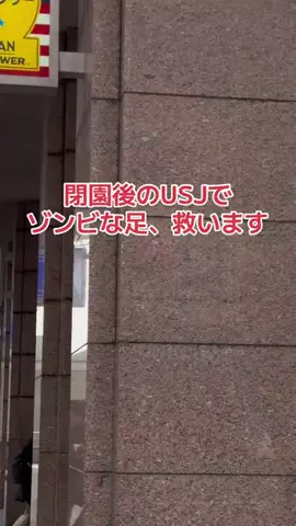地域猫のTikTok投稿