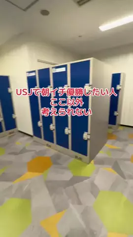 地域猫のTikTok投稿