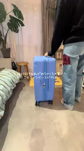 ピッピのTikTok投稿