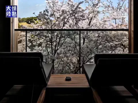 クロ／ホテル紹介📸のTikTok投稿