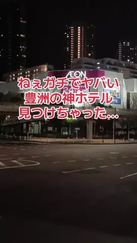 地域猫のTikTok投稿