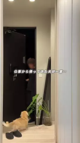 emukoのTikTok投稿