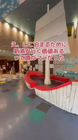 地域猫のTikTok投稿