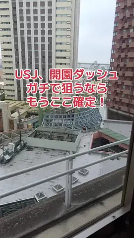 地域猫のTikTok投稿