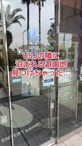 地域猫のTikTok投稿