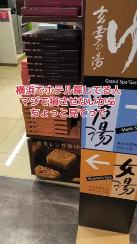 地域猫のTikTok投稿