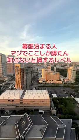 地域猫のTikTok投稿