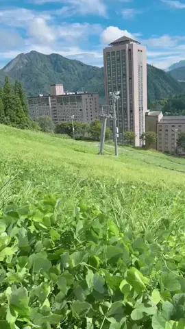 ぐりぐらママ@子連れ旅行で一度は行きたいスポット巡りのTikTok投稿