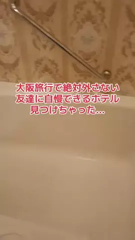 地域猫のTikTok投稿