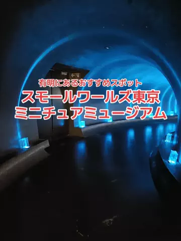 地域猫のTikTok投稿