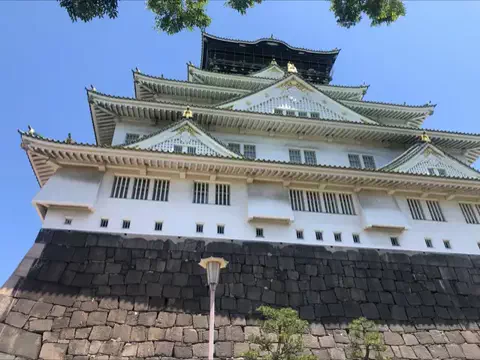 ゆるとらちゃん | TravelerのTikTok投稿