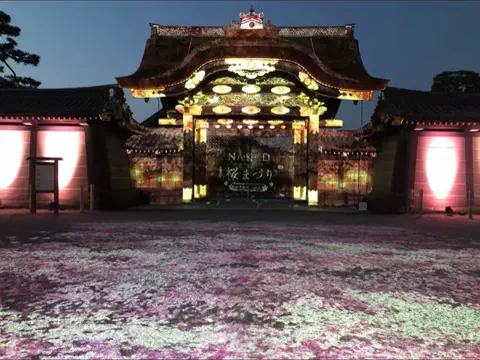 ゆるとらちゃん | TravelerのTikTok投稿