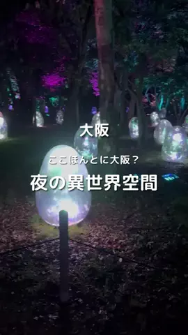 ゆるとらちゃん | TravelerのTikTok投稿